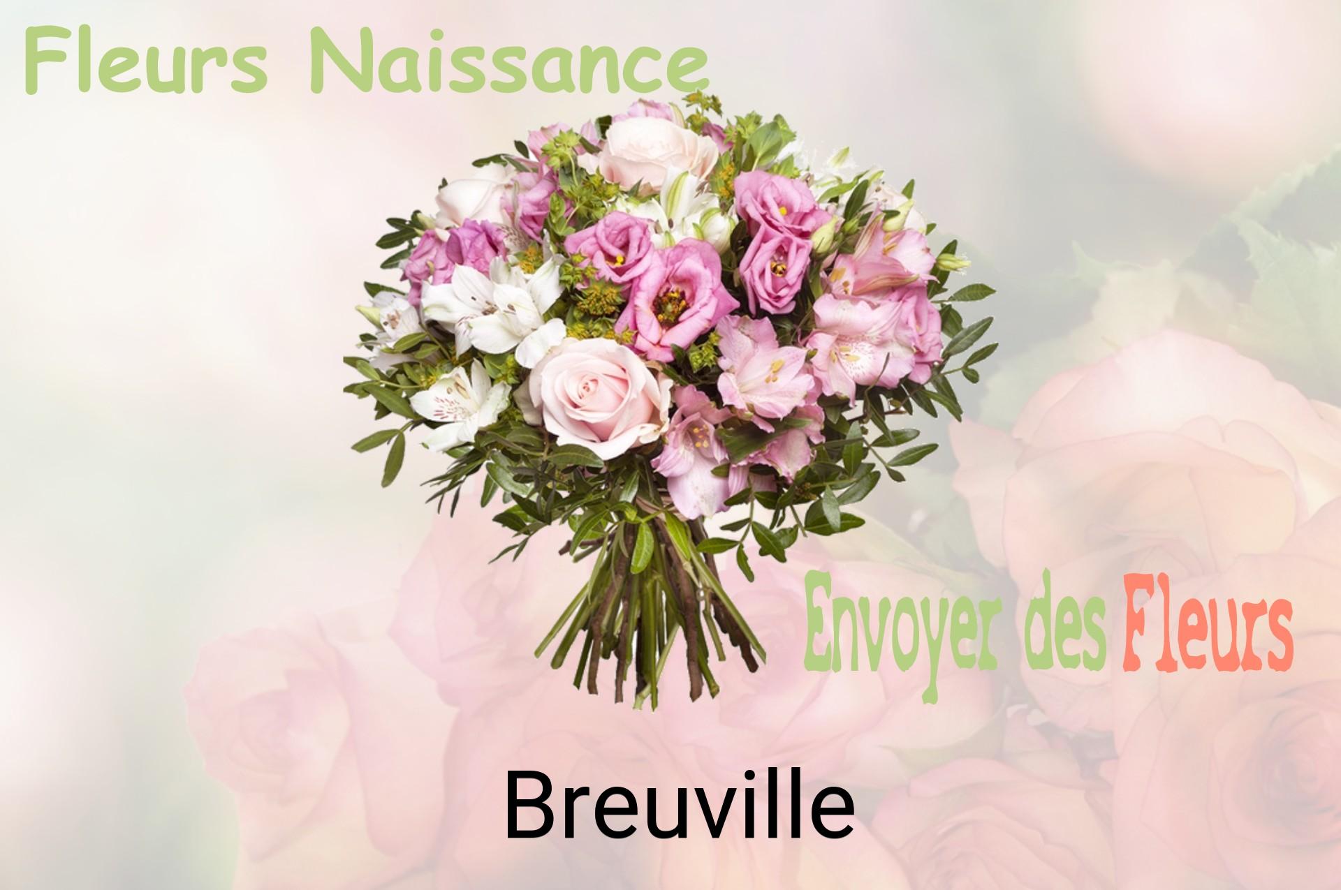 Bouquet de fleurs de naissance livré à Breuville